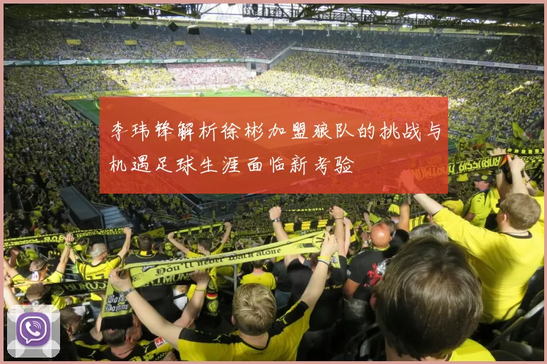 李玮锋解析徐彬加盟狼队的挑战与机遇足球生涯面临新考验